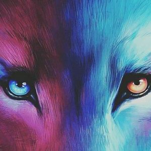 Meet your Posher, Raeann